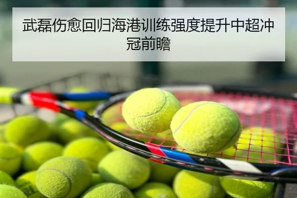 武磊伤愈回归海港训练强度提升中超冲冠前瞻